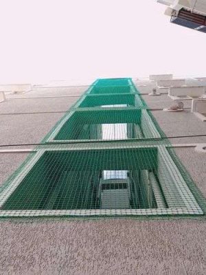 product-jpeg-500x500